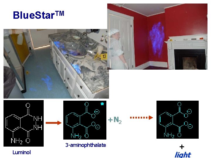 Blue. Star. TM +N 2 3 -aminophthalate Luminol + light 