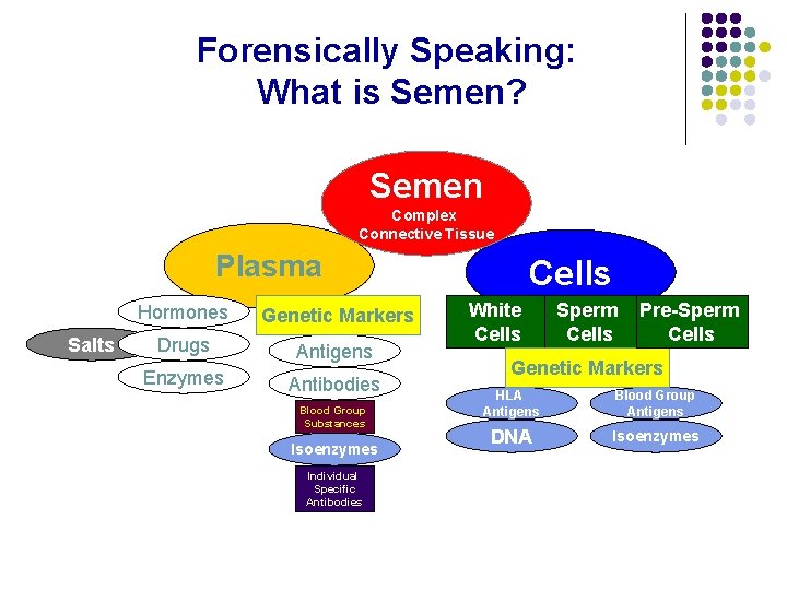 Forensically Speaking: What is Semen? Semen Complex Connective Tissue Plasma Salts Hormones Genetic Markers