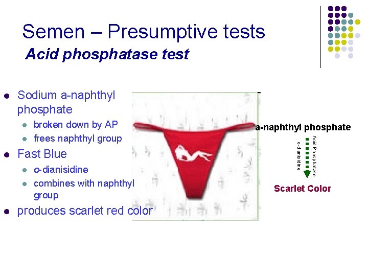 Semen – Presumptive tests Acid phosphatase test l Sodium a-naphthyl phosphate l Fast Blue