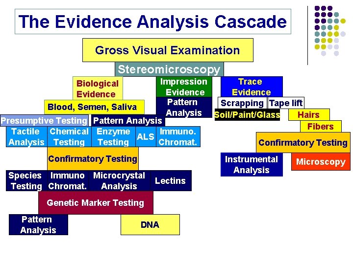 The Evidence Analysis Cascade Gross Visual Examination Stereomicroscopy Impression Trace Evidence Pattern Scrapping Tape