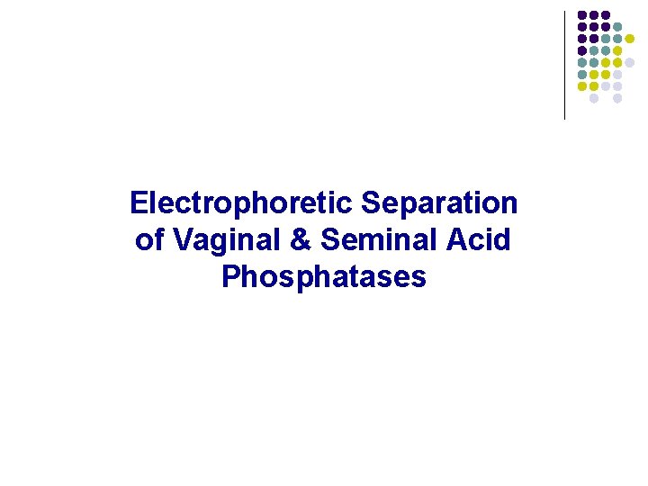 Electrophoretic Separation of Vaginal & Seminal Acid Phosphatases 