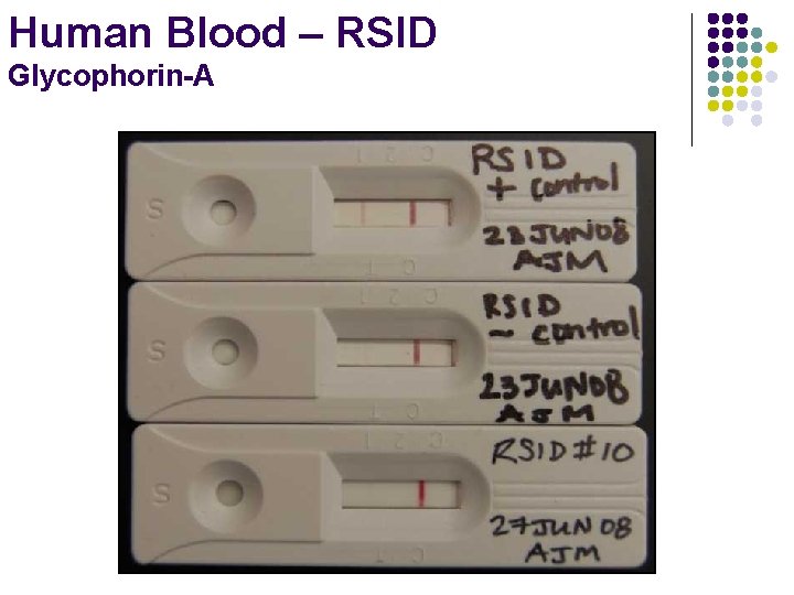 Human Blood – RSID Glycophorin-A 