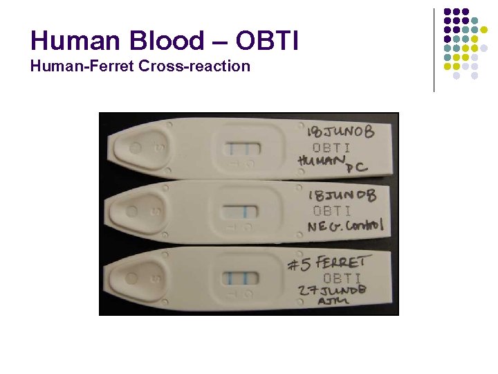 Human Blood – OBTI Human-Ferret Cross-reaction 