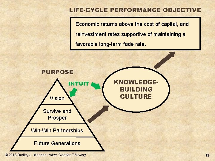 LIFE-CYCLE PERFORMANCE OBJECTIVE Economic returns above the cost of capital, and reinvestment rates supportive