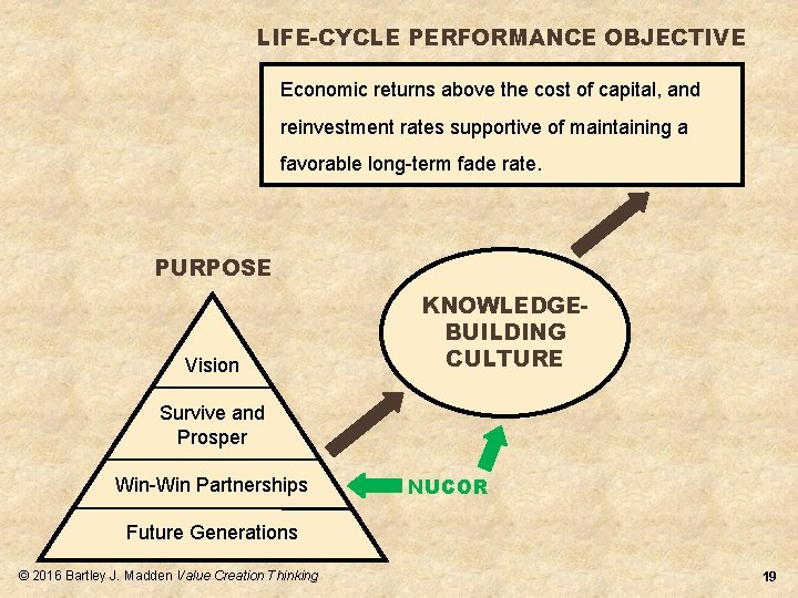 LIFE-CYCLE PERFORMANCE OBJECTIVE Economic returns above the cost of capital, and reinvestment rates supportive