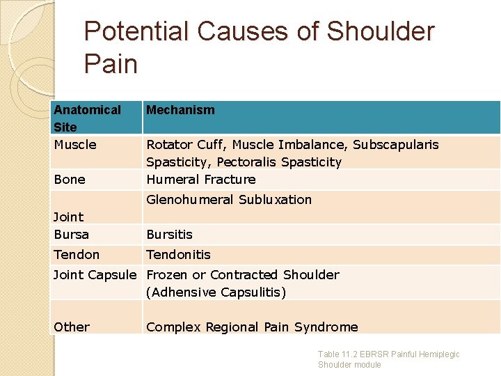 Potential Causes of Shoulder Pain Anatomical Site Muscle Bone Mechanism Rotator Cuff, Muscle Imbalance,