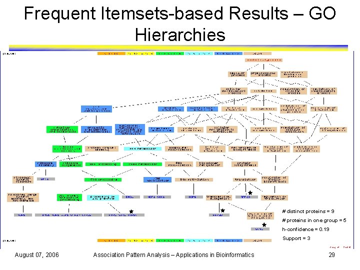 Frequent Itemsets-based Results – GO Hierarchies # distinct proteins = 9 # proteins in