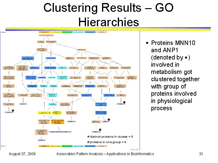 Clustering Results – GO Hierarchies § Proteins MNN 10 and ANP 1 (denoted by