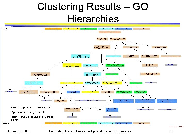 Clustering Results – GO Hierarchies # distinct proteins in cluster = 7 # proteins
