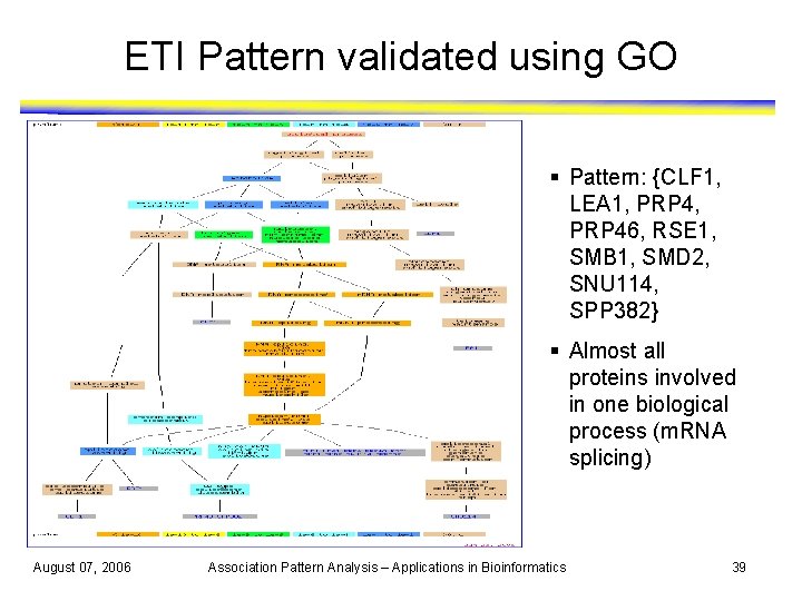 ETI Pattern validated using GO § Pattern: {CLF 1, LEA 1, PRP 4, PRP