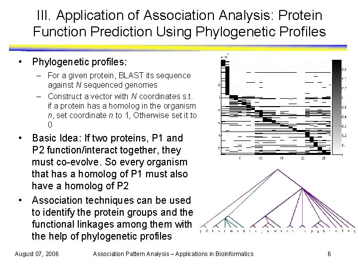 III. Application of Association Analysis: Protein Function Prediction Using Phylogenetic Profiles • Phylogenetic profiles: