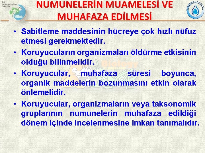 NUMUNELERİN MUAMELESİ VE MUHAFAZA EDİLMESİ • Sabitleme maddesinin hücreye çok hızlı nüfuz etmesi gerekmektedir.