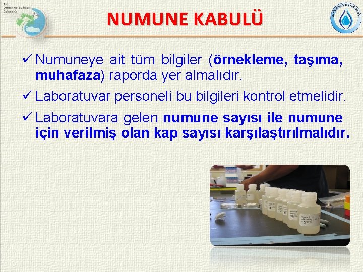 NUMUNE KABULÜ ü Numuneye ait tüm bilgiler (örnekleme, taşıma, muhafaza) raporda yer almalıdır. ü