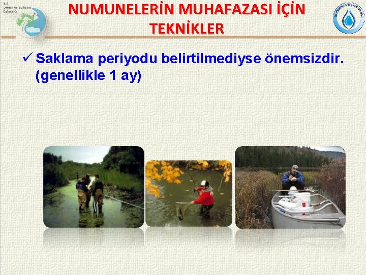 NUMUNELERİN MUHAFAZASI İÇİN TEKNİKLER ü Saklama periyodu belirtilmediyse önemsizdir. (genellikle 1 ay) 