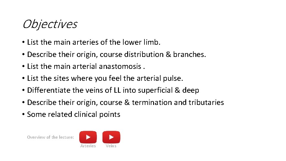 Objectives • List the main arteries of the lower limb. • Describe their origin,