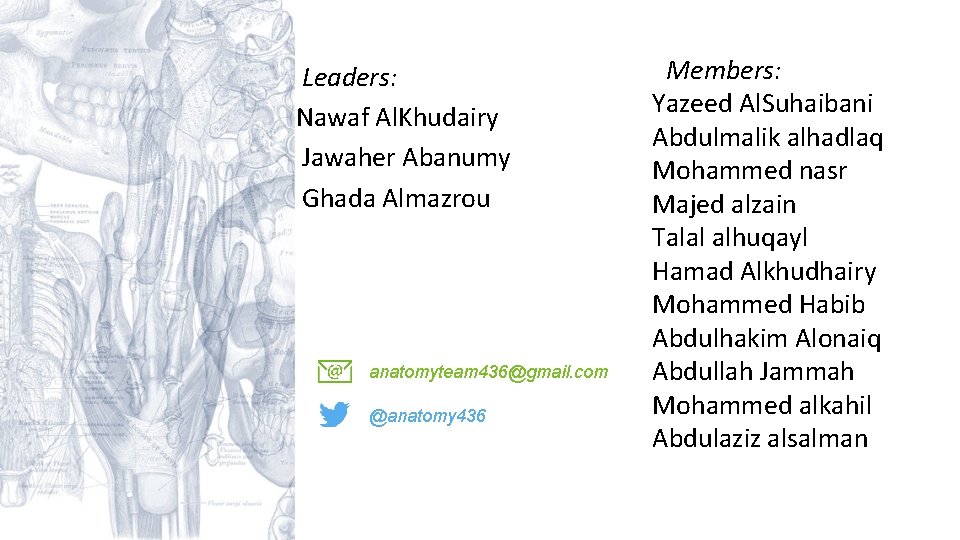 Leaders: Nawaf Al. Khudairy Jawaher Abanumy Ghada Almazrou anatomyteam 436@gmail. com @anatomy 436 Members: