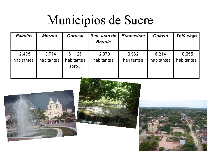 Municipios de Sucre Palmito Morroa Corozal San Juan de Betulia Buenavista Colosó Tolú viejo