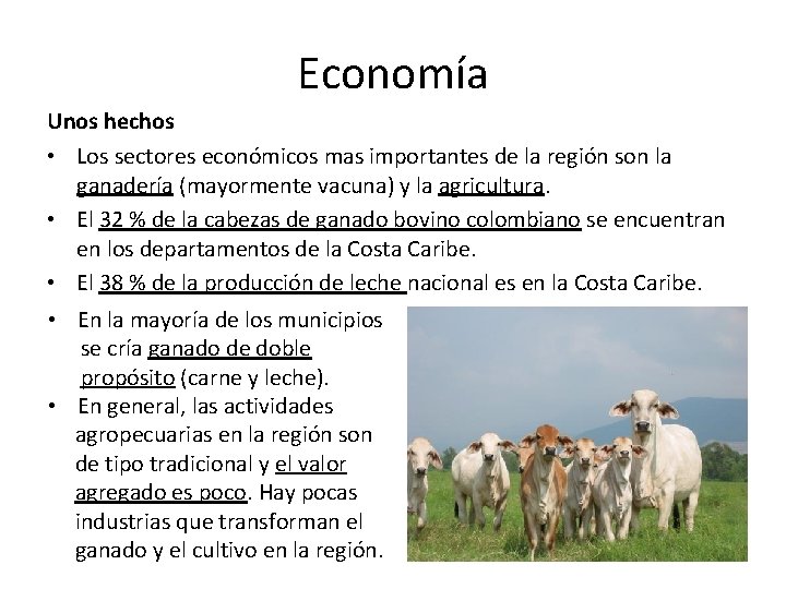 Economía Unos hechos • Los sectores económicos mas importantes de la región son la