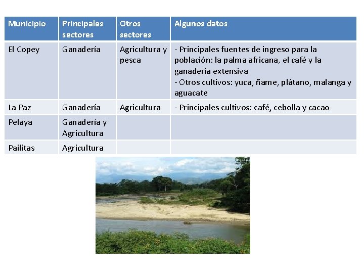 Municipio Principales sectores Otros sectores Algunos datos El Copey Ganadería Agricultura y - Principales