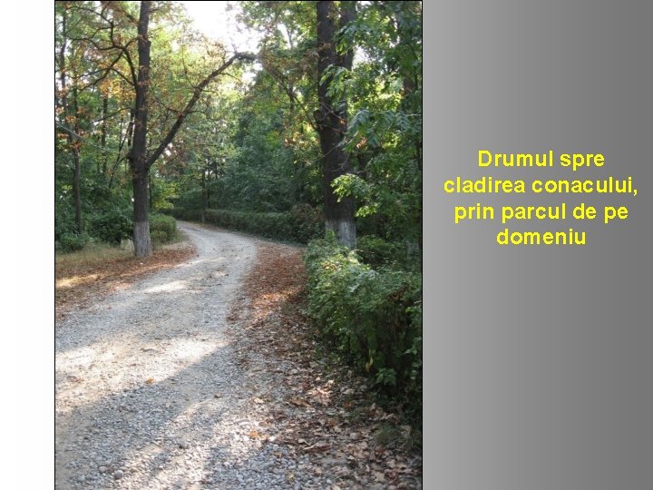 Drumul spre cladirea conacului, prin parcul de pe domeniu 