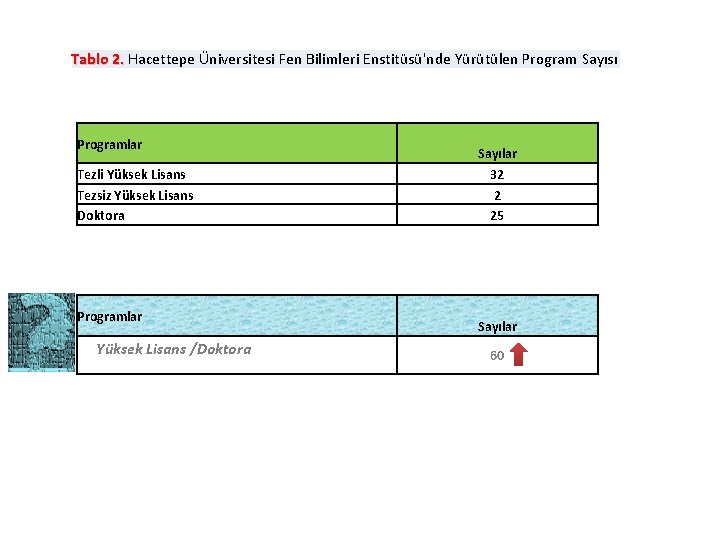 Tablo 2. Hacettepe Üniversitesi Fen Bilimleri Enstitüsü'nde Yürütülen Program Sayısı Tablo 2. Programlar Tezli