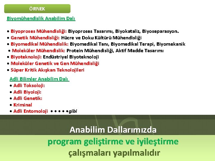 ÖRNEK Biyomühendislik Anabilim Dalı • Biyoproses Mühendisliği: Biyoproses Tasarımı, Biyokataliz, Biyoseparasyon. • Genetik Mühendisliği: