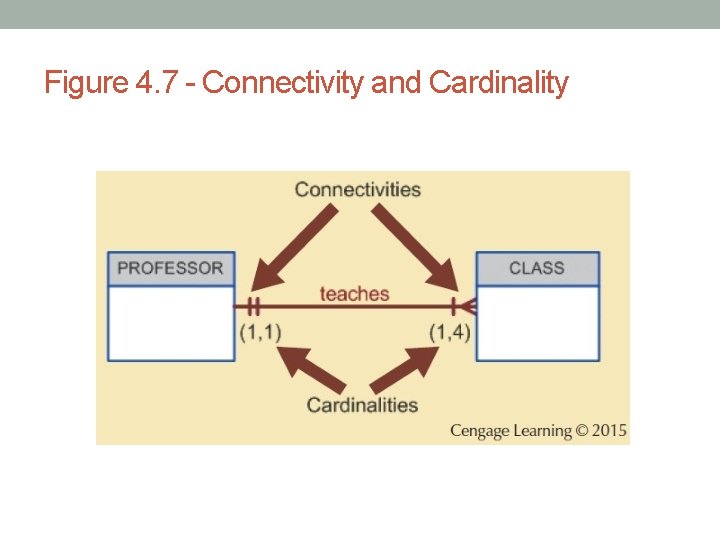 Figure 4. 7 - Connectivity and Cardinality 