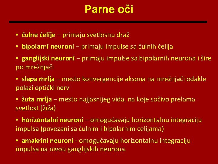 Parne oči • čulne ćelije – primaju svetlosnu draž • bipolarni neuroni – primaju