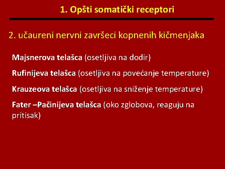 1. Opšti somatički receptori 2. učaureni nervni završeci kopnenih kičmenjaka Majsnerova telašca (osetljiva na