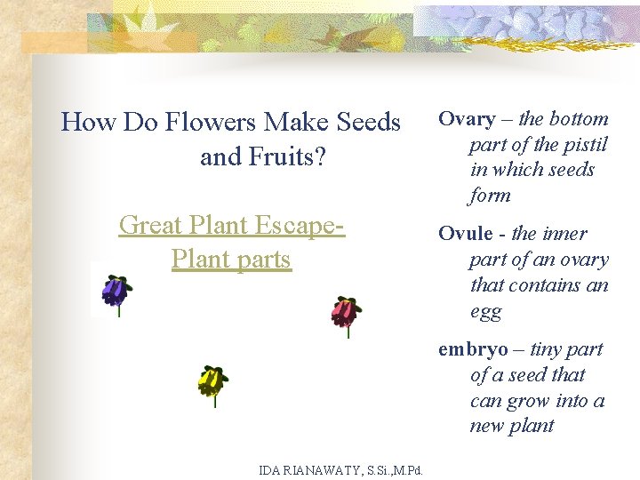 How Do Flowers Make Seeds and Fruits? Great Plant Escape. Plant parts Ovary –