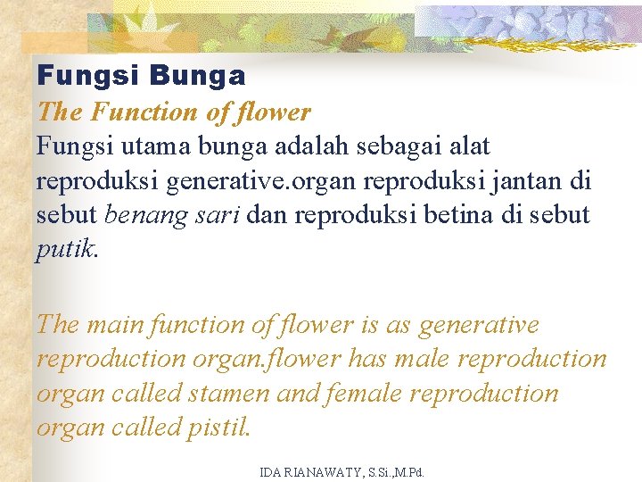 Fungsi Bunga The Function of flower Fungsi utama bunga adalah sebagai alat reproduksi generative.