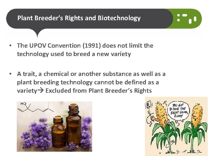 Plant Breeder’s Rights and Biotechnology • The UPOV Convention (1991) does not limit the
