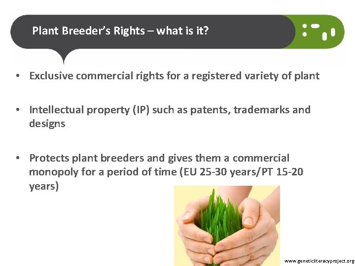 Plant Breeder’s Rights – what is it? • Exclusive commercial rights for a registered