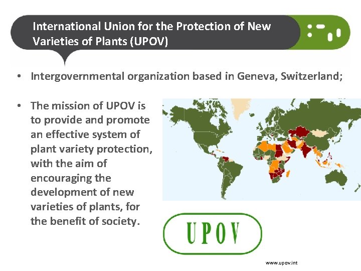 International Union for the Protection of New Varieties of Plants (UPOV) • Intergovernmental organization