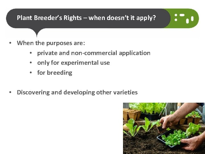 Plant Breeder’s Rights – when doesn’t it apply? • When the purposes are: •