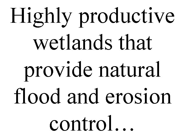 Highly productive wetlands that provide natural flood and erosion control… 