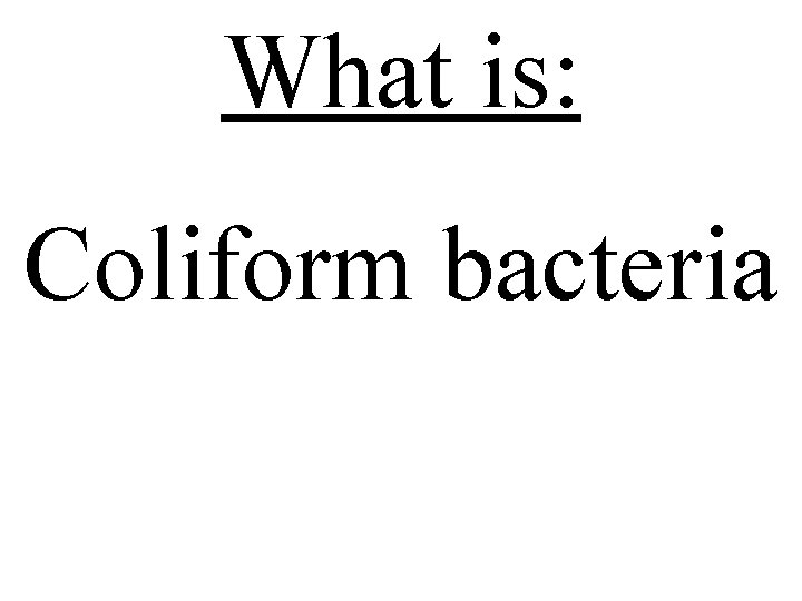 What is: Coliform bacteria 