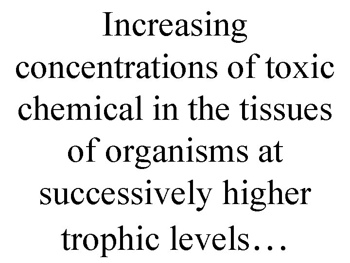 Increasing concentrations of toxic chemical in the tissues of organisms at successively higher trophic