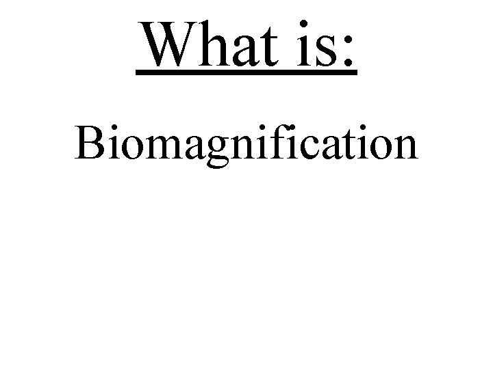 What is: Biomagnification 