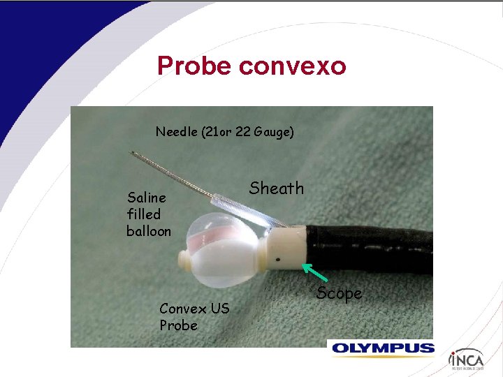 Probe convexo Needle (21 or 22 Gauge) Saline filled balloon Convex US Probe Sheath