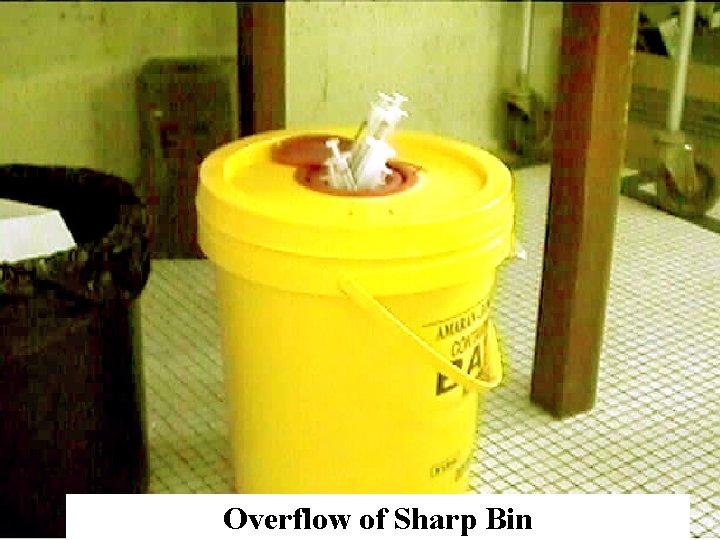 OCCUPATIONAL EXPOSURES TO BLOOD AND BODILY FLUIDS Dr