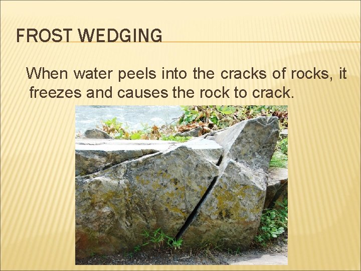 FROST WEDGING When water peels into the cracks of rocks, it freezes and causes
