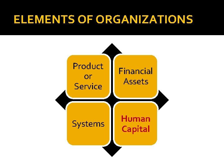 ELEMENTS OF ORGANIZATIONS Product or Service Financial Assets Systems Human Capital 