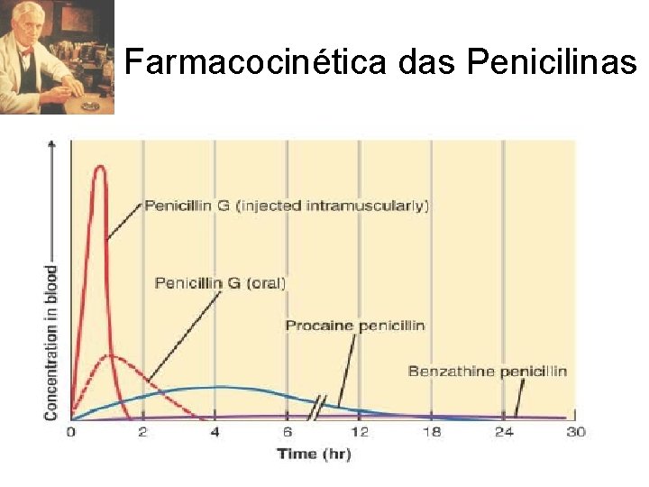 Farmacocinética das Penicilinas 