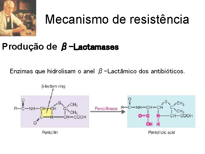 Mecanismo de resistência Produção de β-Lactamases Enzimas que hidrolisam o anel β-Lactâmico dos antibióticos.