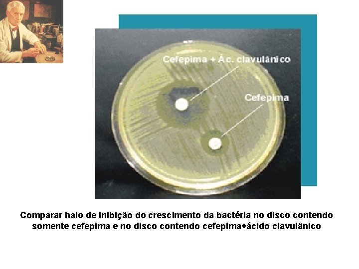 Comparar halo de inibição do crescimento da bactéria no disco contendo somente cefepima e