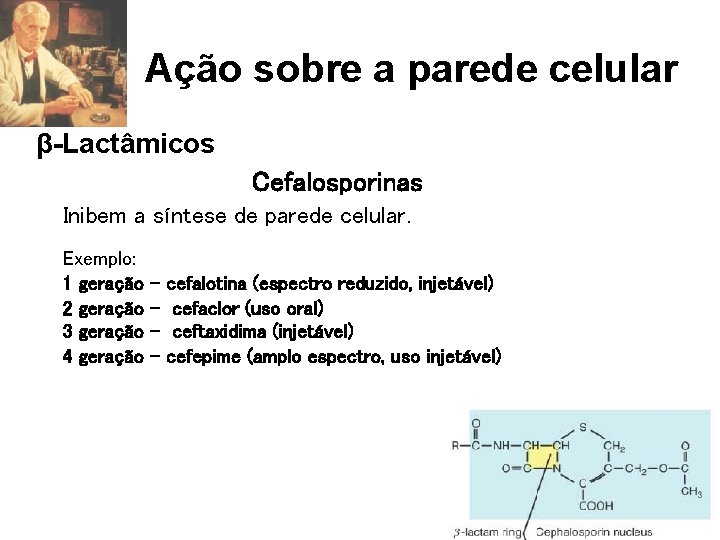 Ação sobre a parede celular β-Lactâmicos Cefalosporinas Inibem a síntese de parede celular. Exemplo: