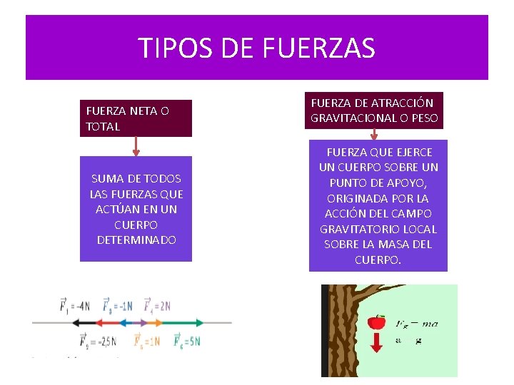 TIPOS DE FUERZAS FUERZA NETA O TOTAL SUMA DE TODOS LAS FUERZAS QUE ACTÚAN TIPOS DE FUERZAS FUERZA NETA O TOTAL SUMA DE TODOS LAS FUERZAS QUE ACTÚAN