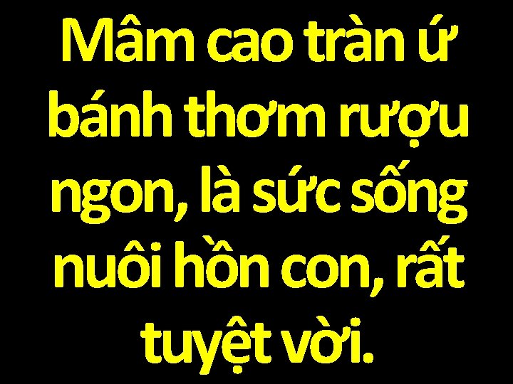 Mâm cao tràn ứ bánh thơm rượu ngon, là sức sống nuôi hồn con,