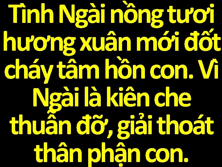 Tình Ngài nồng tươi hương xuân mới đốt cháy tâm hồn con. Vì Ngài